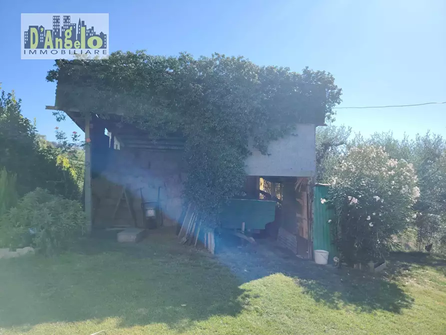 Immagine 6 di Rustico / casale in vendita  in Contrada Tesino 171 a Offida