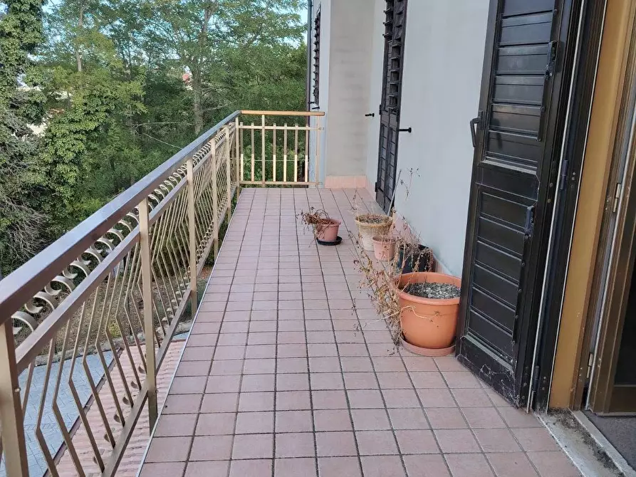 Immagine 18 di Casa semindipendente in vendita  in Contrada Santa Giuliana a Castignano