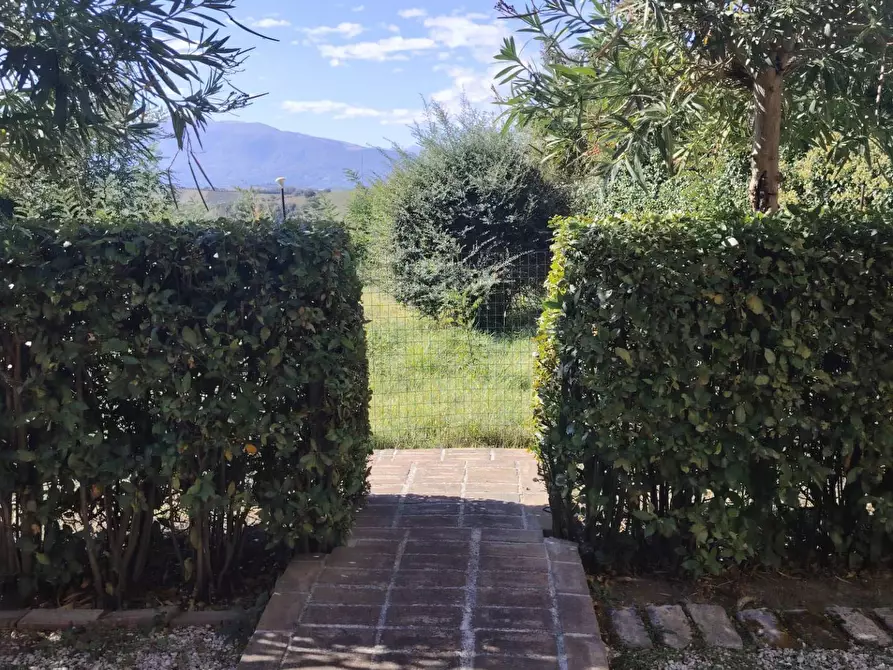 Immagine 44 di Casa indipendente in vendita  in Via San Michele 57 a Offida