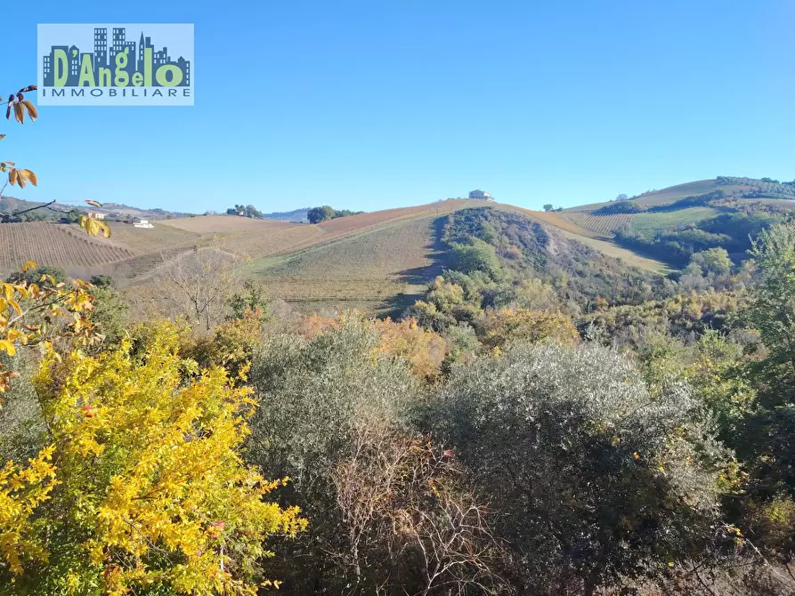 Immagine 23 di Rustico / casale in vendita  in Contrada Tesino 235 a Offida