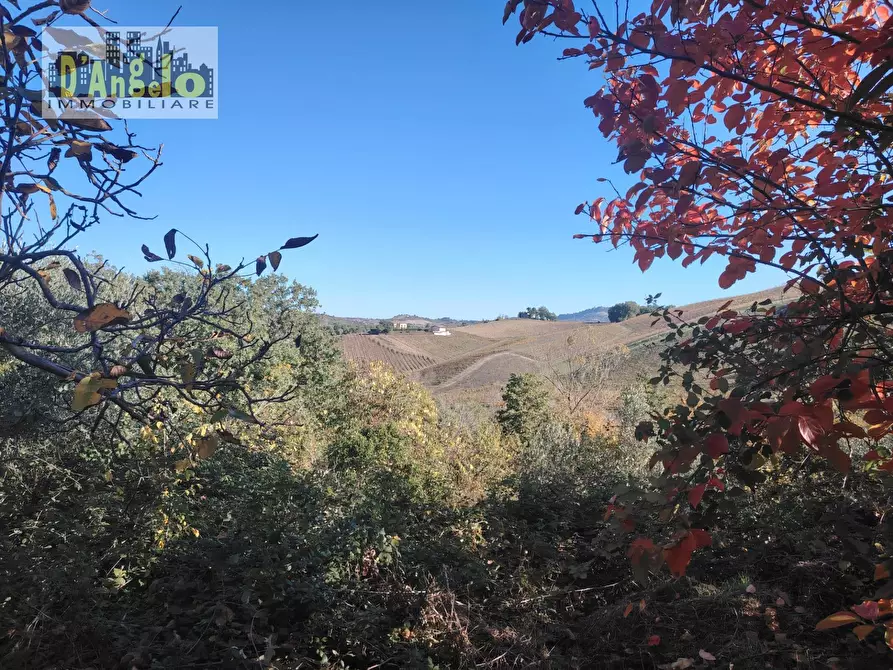 Immagine 21 di Rustico / casale in vendita  in Contrada Tesino 235 a Offida