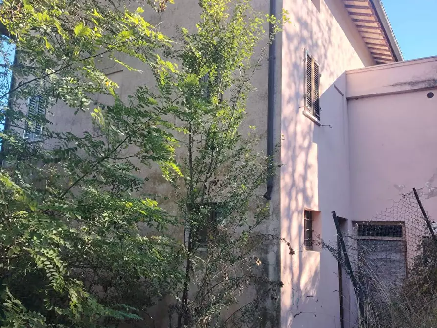 Immagine 11 di Casa indipendente in vendita  in CONTRADA TESINO 216 a Offida