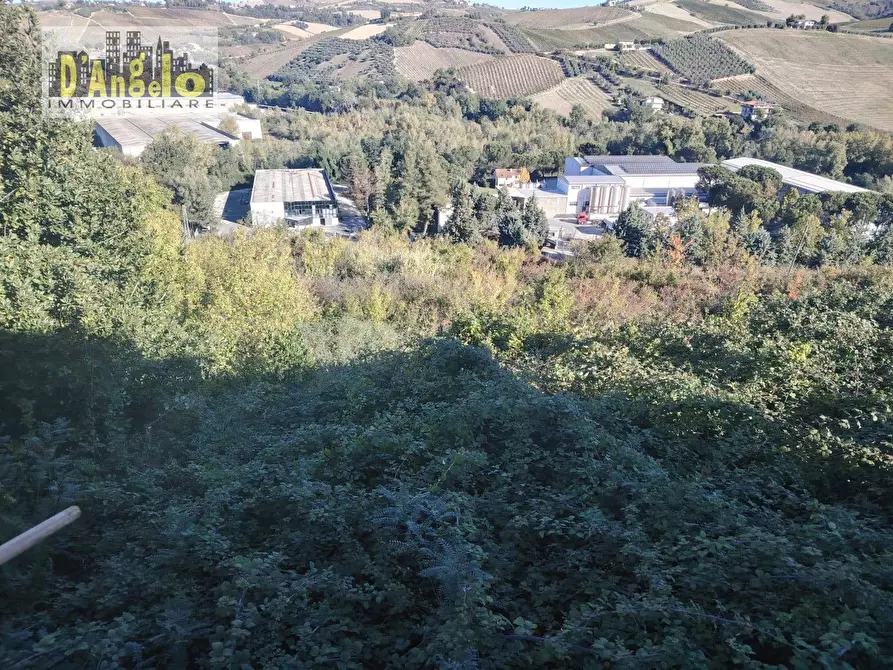 Immagine 17 di Casa indipendente in vendita  in CONTRADA TESINO 216 a Offida