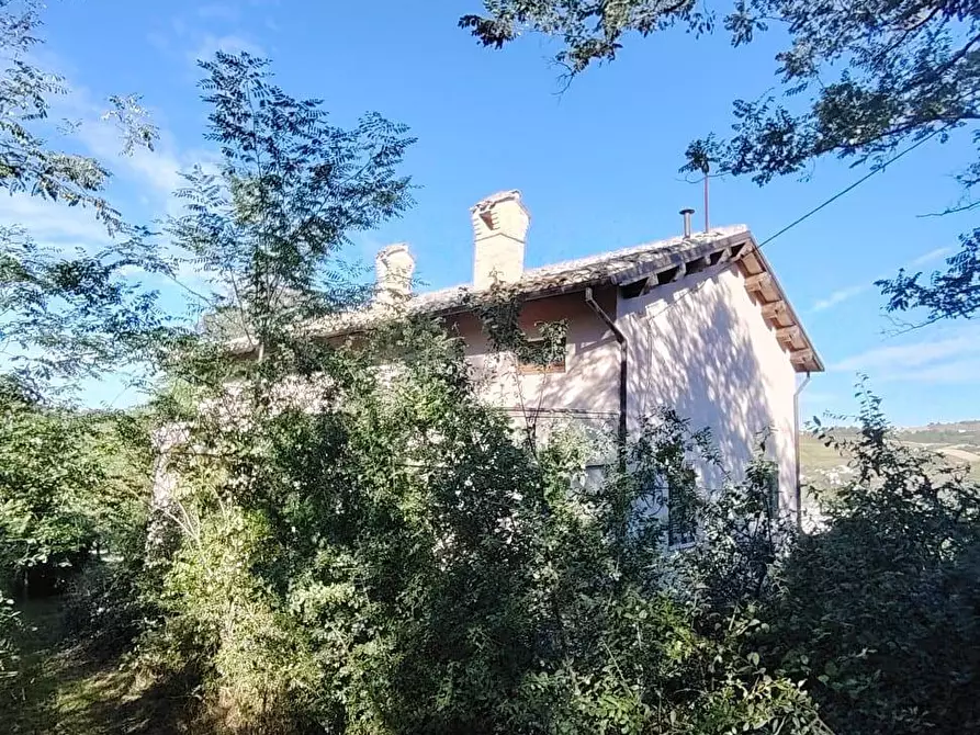 Immagine 1 di Casa indipendente in vendita  in CONTRADA TESINO 216 a Offida