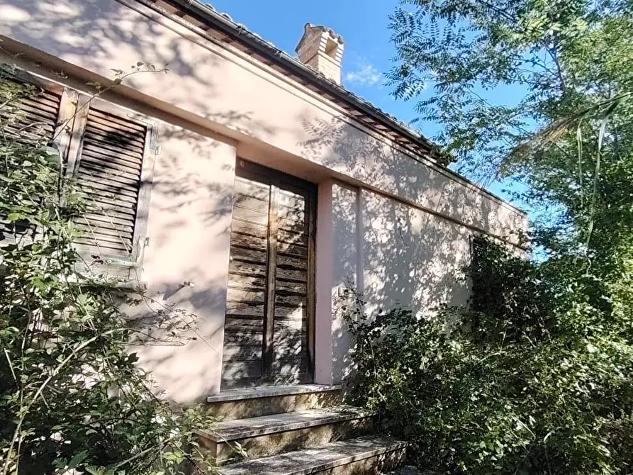 Immagine 33 di Casa indipendente in vendita  in CONTRADA TESINO 216 a Offida