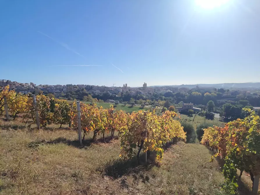 Immagine 1 di Rustico / casale in vendita  in Rovecciano a Offida