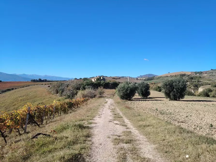 Immagine 6 di Rustico / casale in vendita  in Rovecciano a Offida