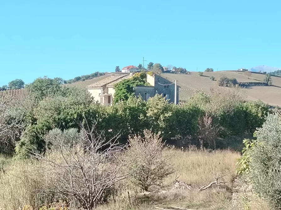 Immagine 7 di Rustico / casale in vendita  in Rovecciano a Offida