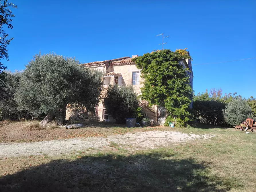 Immagine 8 di Rustico / casale in vendita  in Rovecciano a Offida