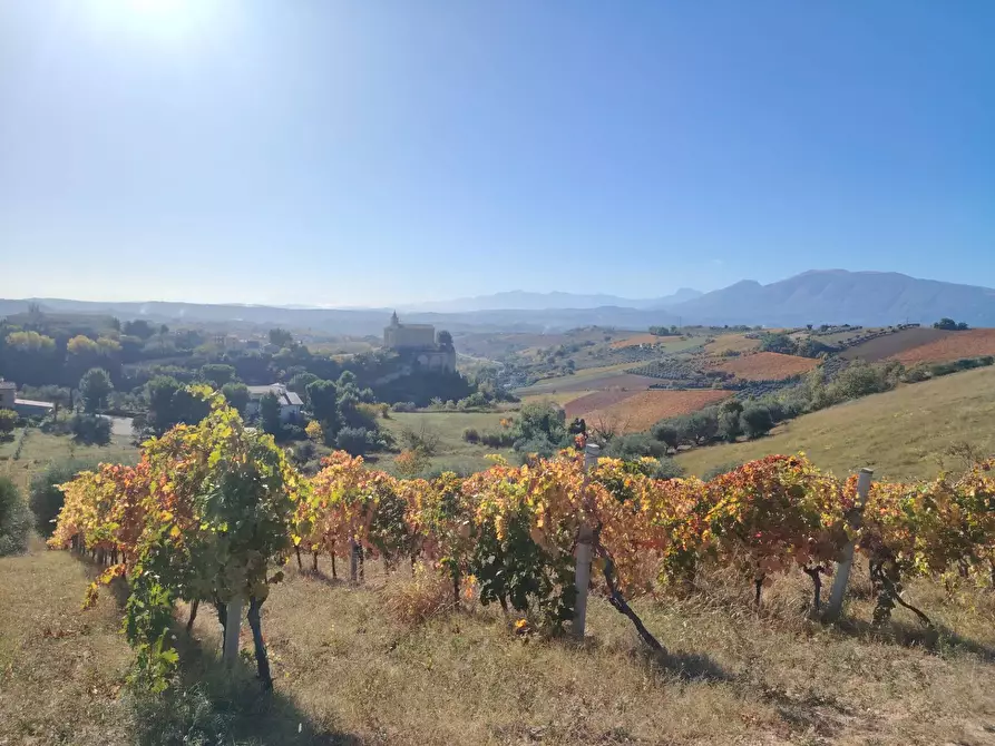 Immagine 9 di Rustico / casale in vendita  in Rovecciano a Offida