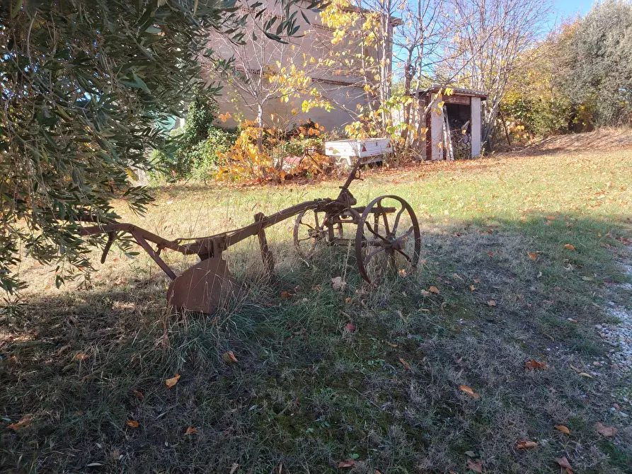 Immagine 10 di Rustico / casale in vendita  in Rovecciano a Offida