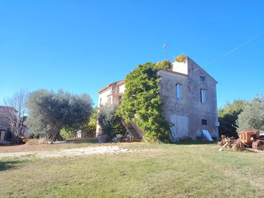 Immagine 11 di Rustico / casale in vendita  in Rovecciano a Offida