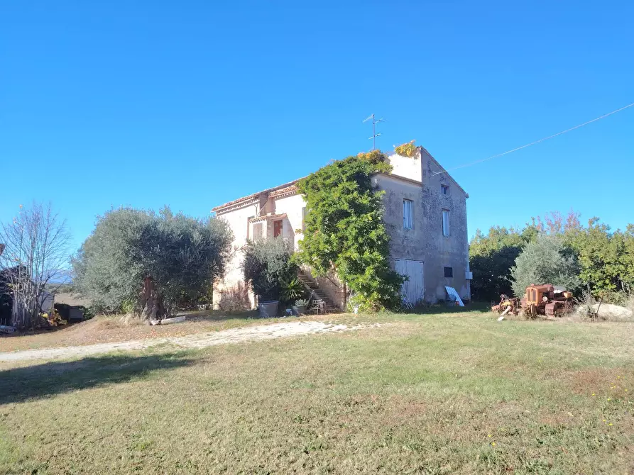 Immagine 12 di Rustico / casale in vendita  in Rovecciano a Offida