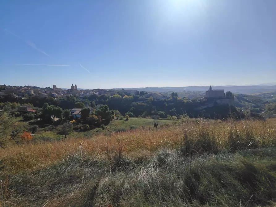 Immagine 13 di Rustico / casale in vendita  in Rovecciano a Offida