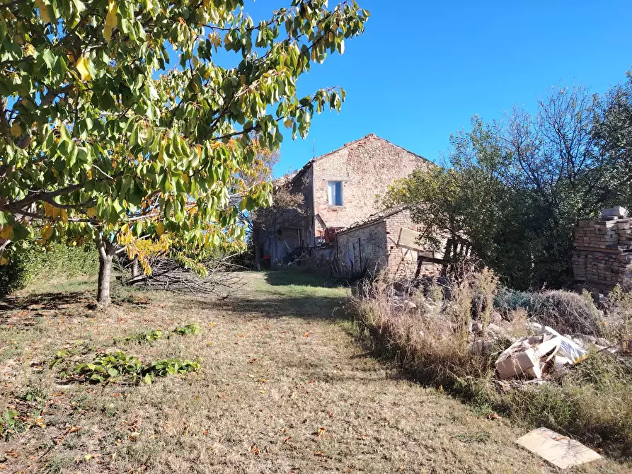 Immagine 14 di Rustico / casale in vendita  in Rovecciano a Offida