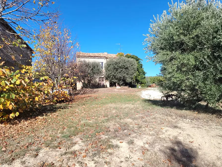 Immagine 15 di Rustico / casale in vendita  in Rovecciano a Offida