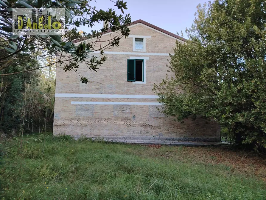 Immagine 3 di Casa indipendente in vendita  in CONTRADA CIAFONE a Offida