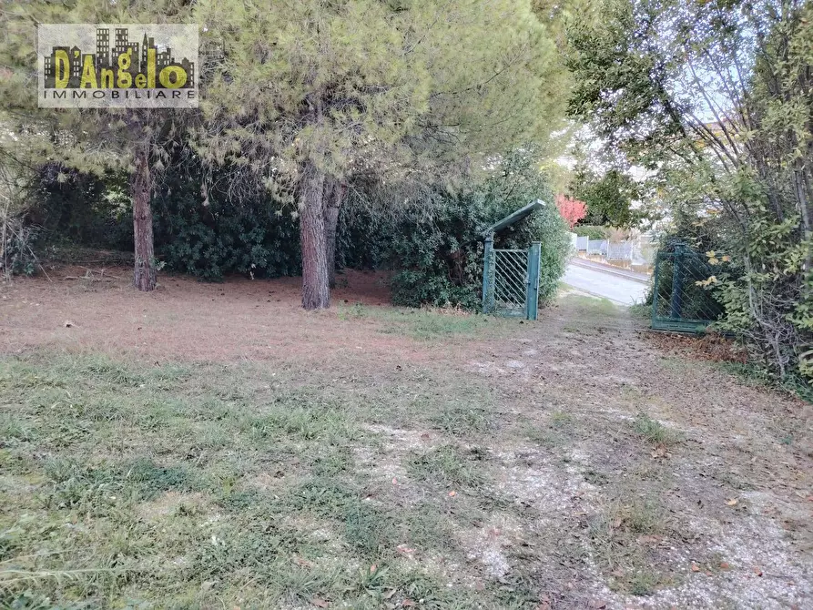 Immagine 6 di Casa indipendente in vendita  in CONTRADA CIAFONE a Offida