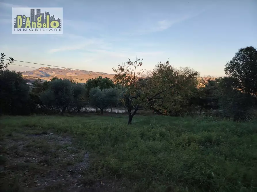 Immagine 36 di Casa indipendente in vendita  in CONTRADA CIAFONE a Offida