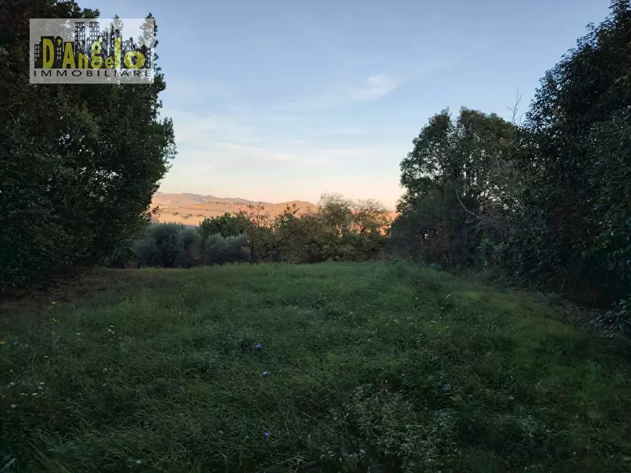 Immagine 35 di Casa indipendente in vendita  in CONTRADA CIAFONE a Offida