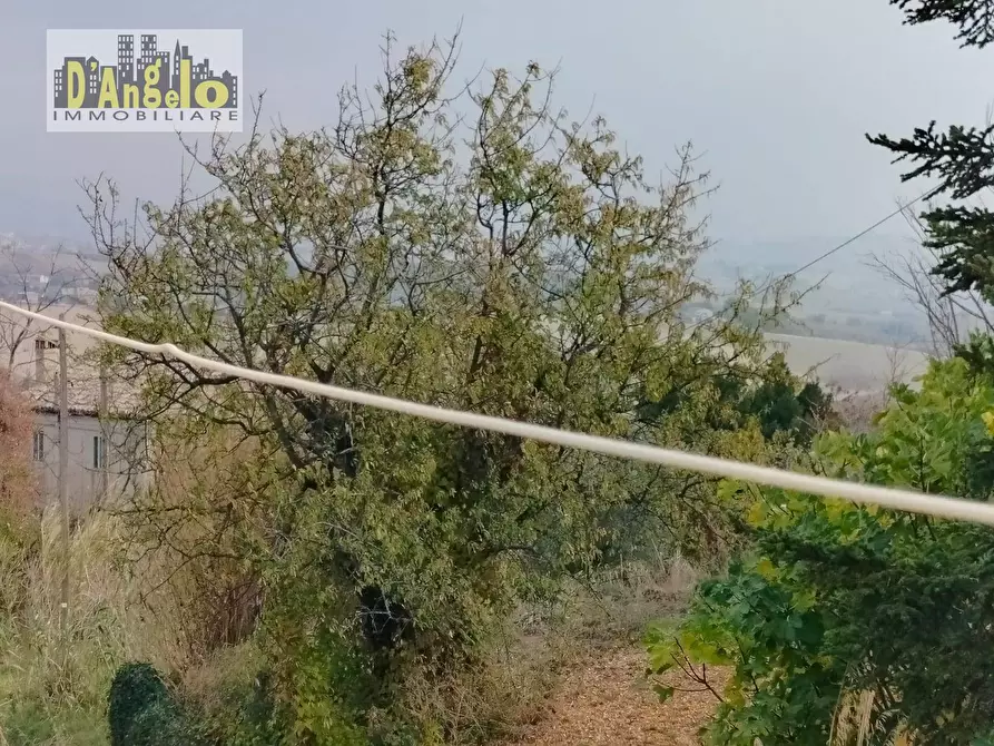Immagine 19 di Rustico / casale in vendita  in Contrada Castiglioni 67 a Offida
