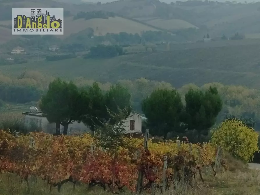 Immagine 2 di Rustico / casale in vendita  in Contrada Castiglioni 67 a Offida