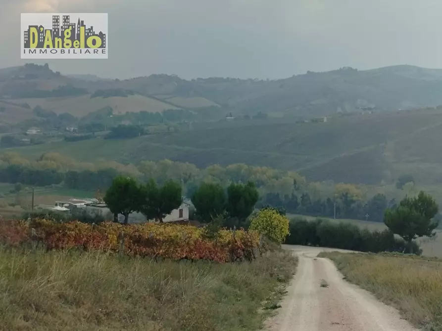 Immagine 3 di Rustico / casale in vendita  in Contrada Castiglioni 67 a Offida