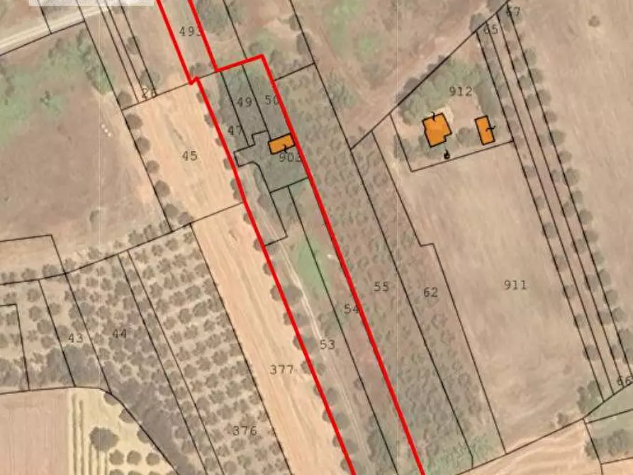 Immagine 1 di Azienda agricola in vendita  a Corropoli