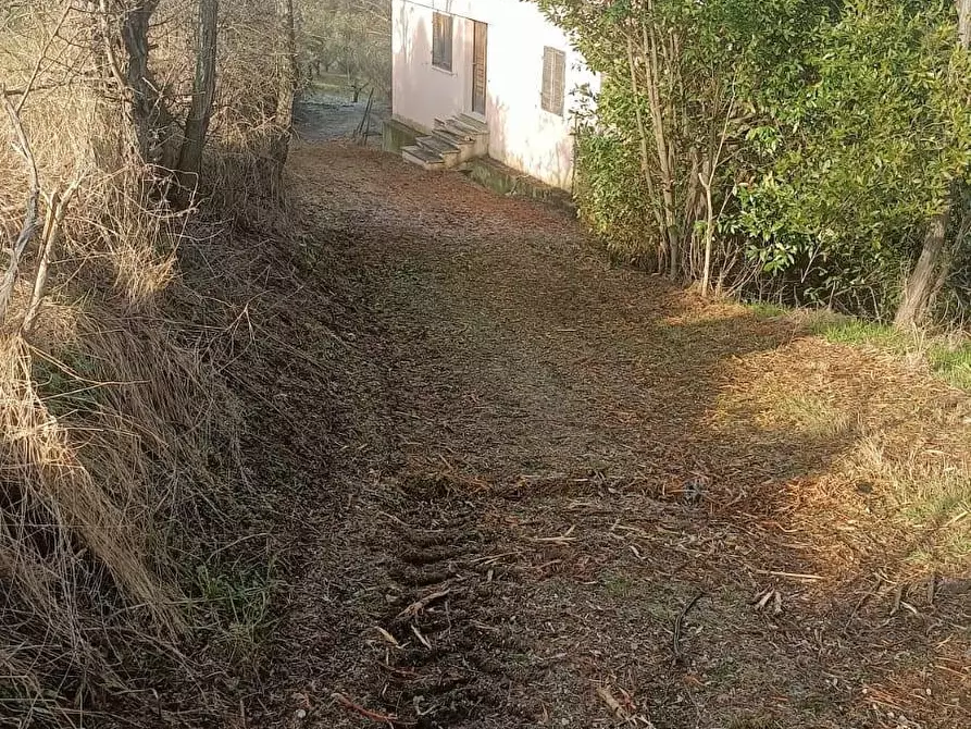 Immagine 3 di Casa indipendente in vendita  in CONTRADA TESINO 216 a Offida