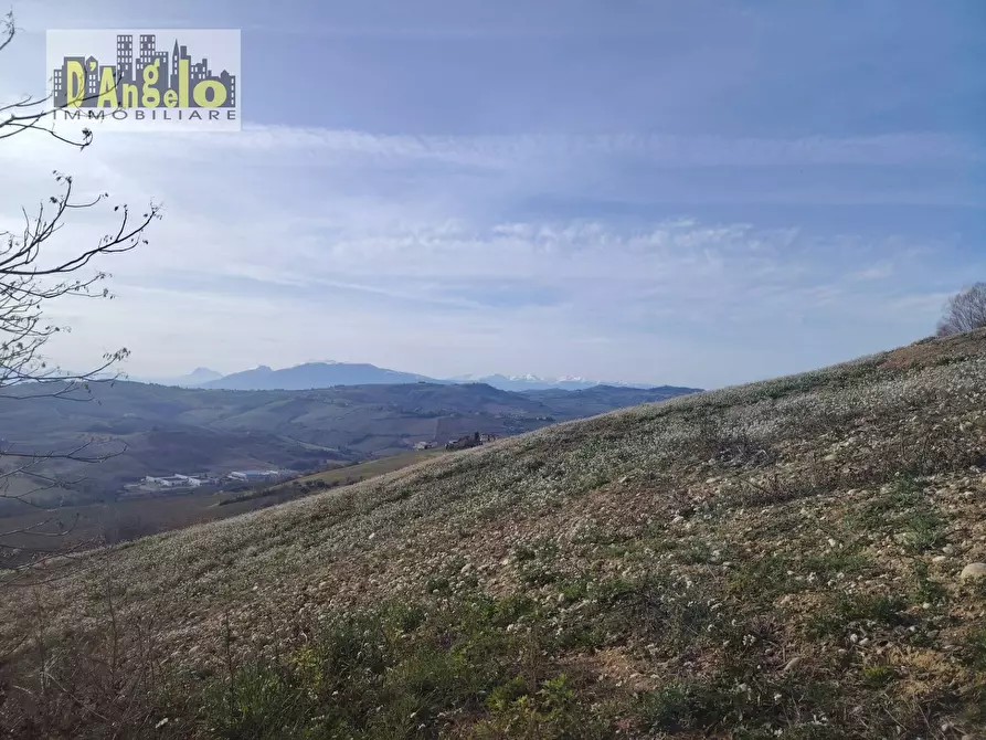 Immagine 10 di Casa indipendente in vendita  in Contrada Grazie a Cossignano