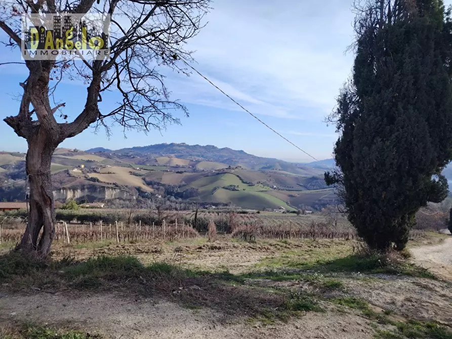 Immagine 7 di Casa indipendente in vendita  in Contrada Grazie a Cossignano