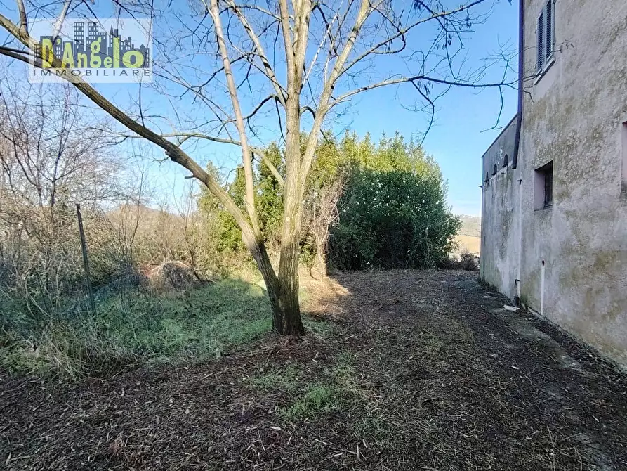 Immagine 6 di Casa indipendente in vendita  in CONTRADA TESINO 216 a Offida