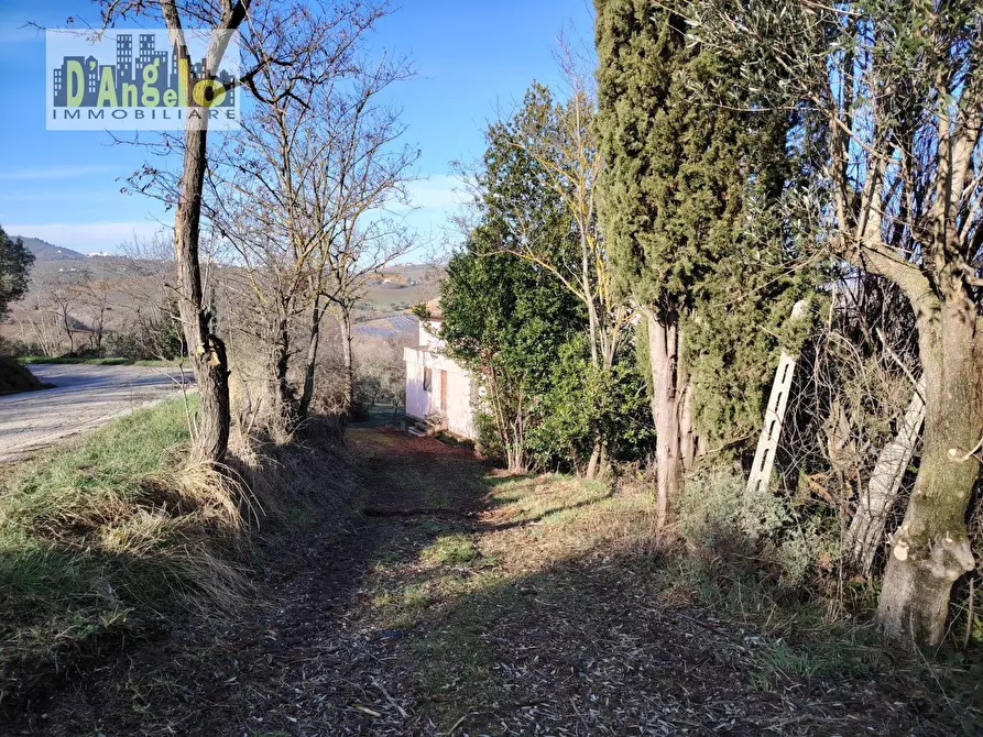 Immagine 5 di Casa indipendente in vendita  in CONTRADA TESINO 216 a Offida