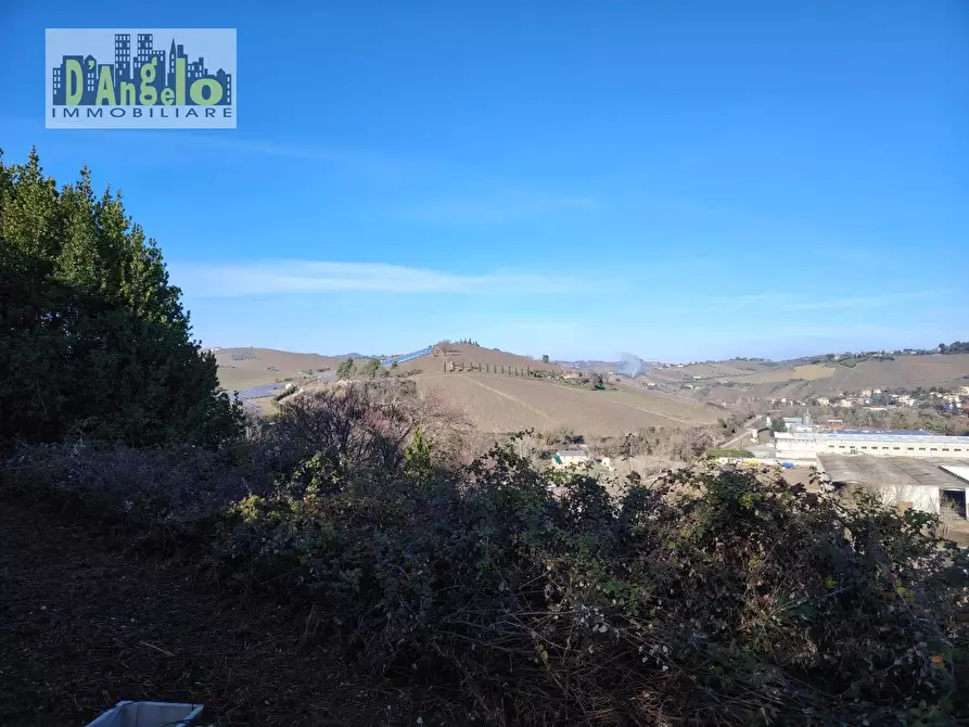 Immagine 36 di Casa indipendente in vendita  in CONTRADA TESINO 216 a Offida