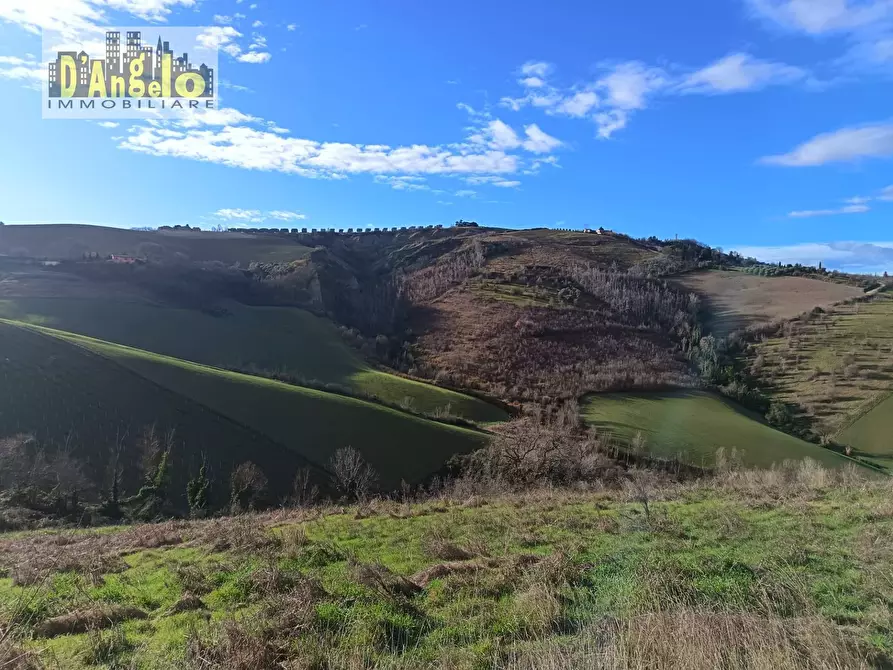 Immagine 8 di Casa indipendente in vendita  in Via Tesino 208 a Offida