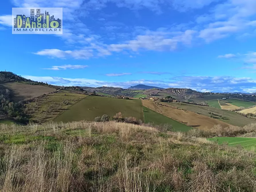 Immagine 9 di Casa indipendente in vendita  in Via Tesino 208 a Offida