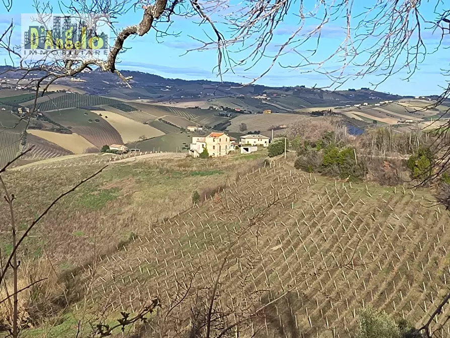 Immagine 10 di Casa indipendente in vendita  in Via Tesino 208 a Offida
