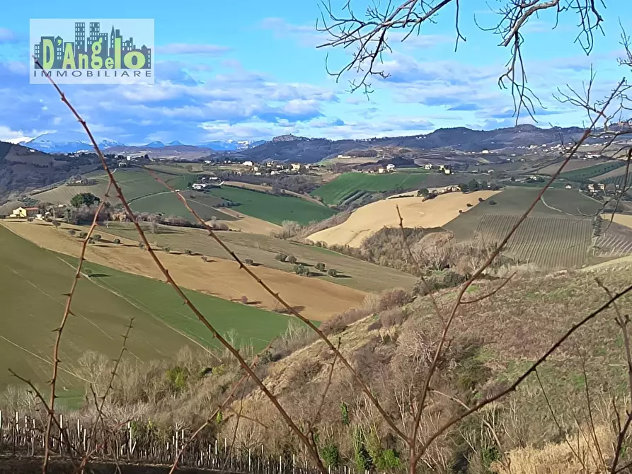Immagine 11 di Casa indipendente in vendita  in Via Tesino 208 a Offida