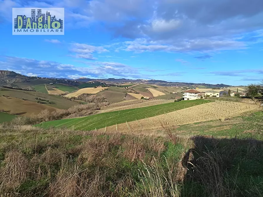 Immagine 12 di Casa indipendente in vendita  in Via Tesino 208 a Offida