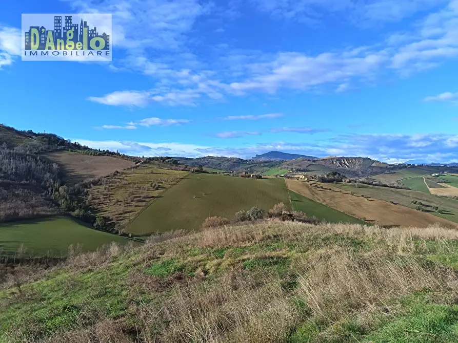 Immagine 13 di Casa indipendente in vendita  in Via Tesino 208 a Offida