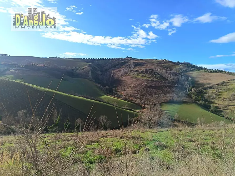 Immagine 16 di Casa indipendente in vendita  in Via Tesino 208 a Offida