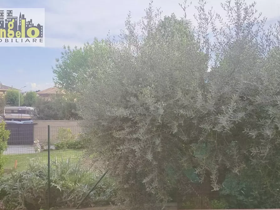 Immagine 15 di Appartamento in vendita  in Via Serafino Cellini a Castel Di Lama