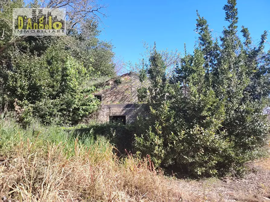 Immagine 4 di Casa indipendente in vendita  in CONTRADA SOLOGNA a Petritoli