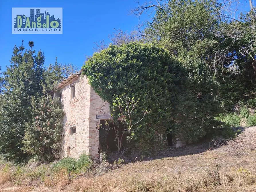 Immagine 2 di Casa indipendente in vendita  in CONTRADA SOLOGNA a Petritoli