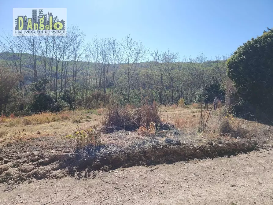 Immagine 5 di Casa indipendente in vendita  in CONTRADA SOLOGNA a Petritoli