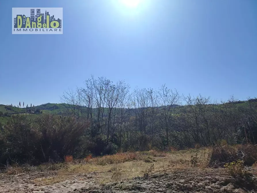 Immagine 6 di Casa indipendente in vendita  in CONTRADA SOLOGNA a Petritoli