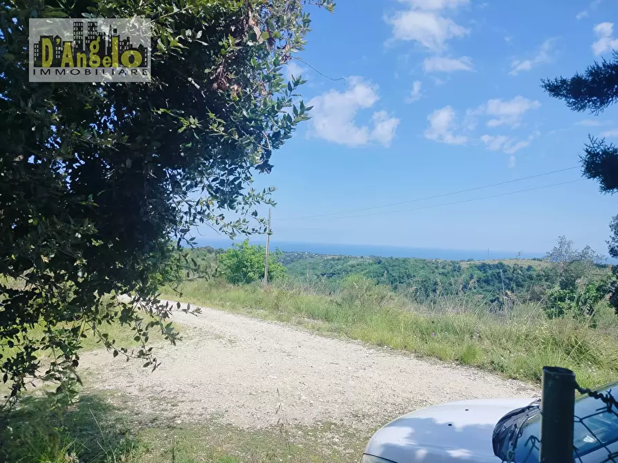 Immagine 26 di Casa indipendente in vendita  a Ripatransone