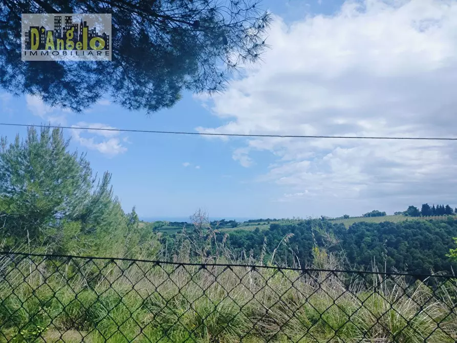 Immagine 21 di Casa indipendente in vendita  a Ripatransone