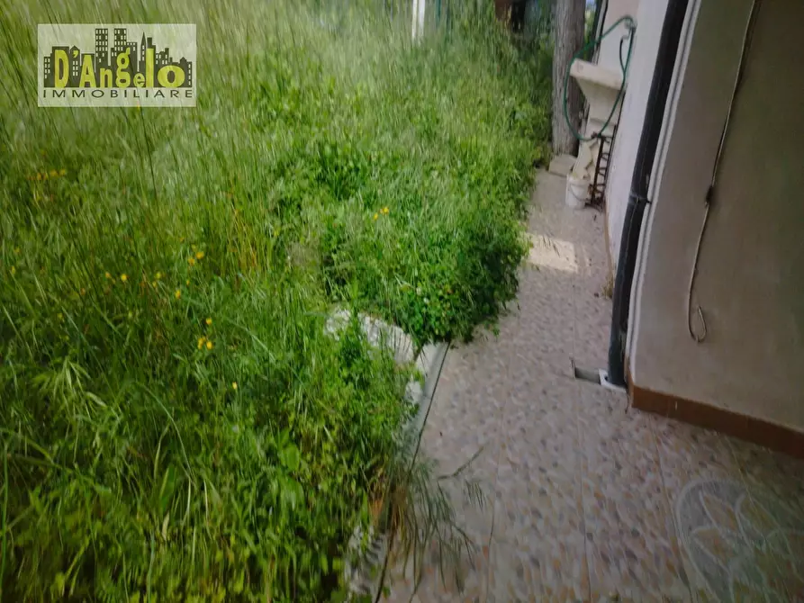Immagine 27 di Casa indipendente in vendita  a Ripatransone
