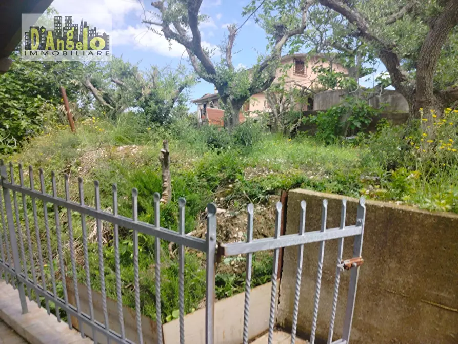 Immagine 36 di Casa indipendente in vendita  a Ripatransone